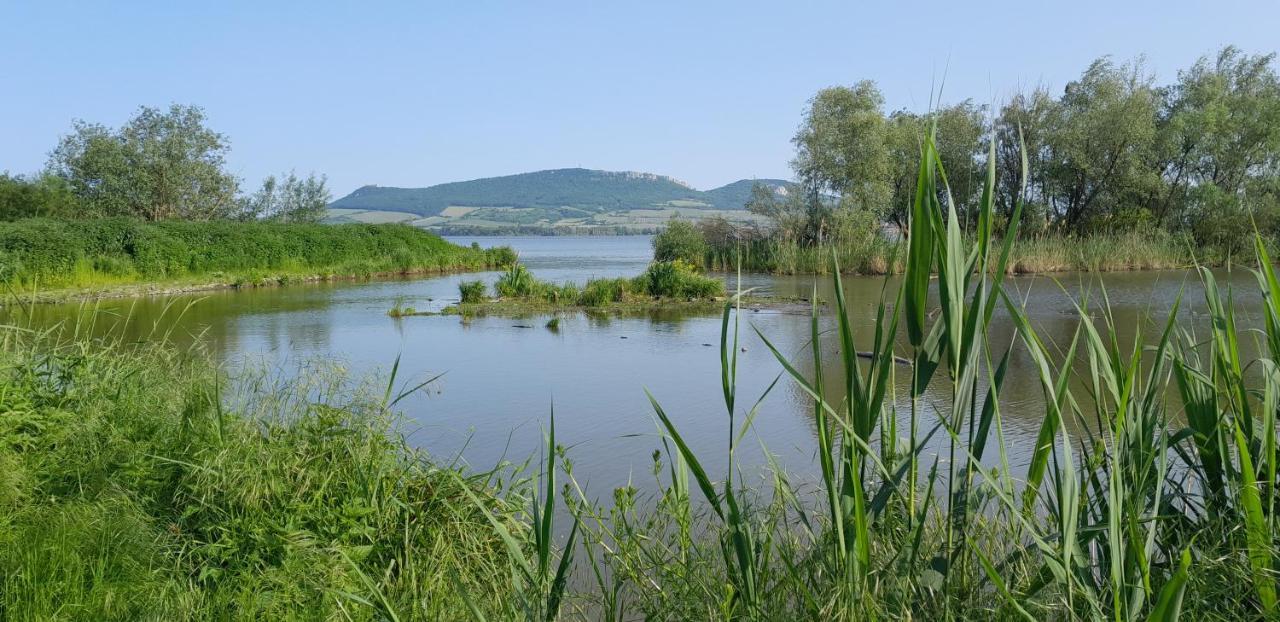 Ubytovani Na Sklepe U Prochazku Pouzdrany 外观 照片